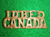 38-10, 1st Depot Bn Eastern Ontario Regiment Shoulder Title